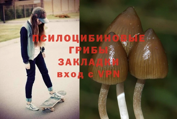 ECSTASY Киреевск