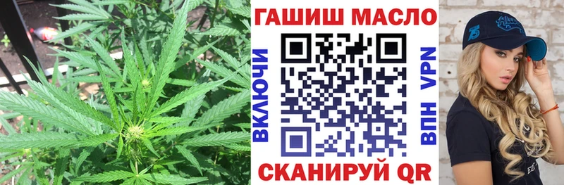 Купить закладки  Емва  Дистиллят ТГК вейп 